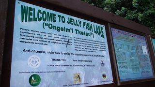 癒されたい方はぜひ！