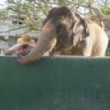 像の『琉花』ちゃんです。