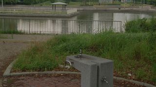 キレイに整備された公園