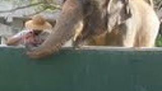 お子様連れならぜひ♪動物たちと距離の近い動物園