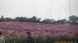 電車も走っています