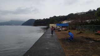 木負観光みかん園