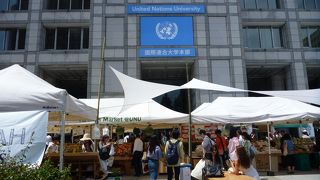 眺めているだけで楽しかったです