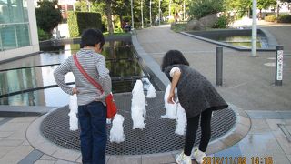 広くて駆けまわれます