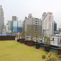 庭からの景色良いから是非見てといわれた屋上