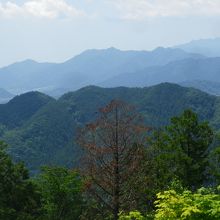 頂上からの眺め