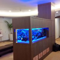 ロビーには涼しげな水槽が。