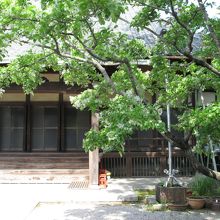 新緑に包まれて