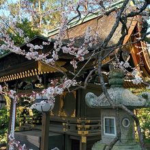 北野天満宮の境内