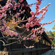 北野天満宮の境内
