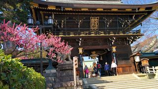 北野の天神さん（北野天満宮）