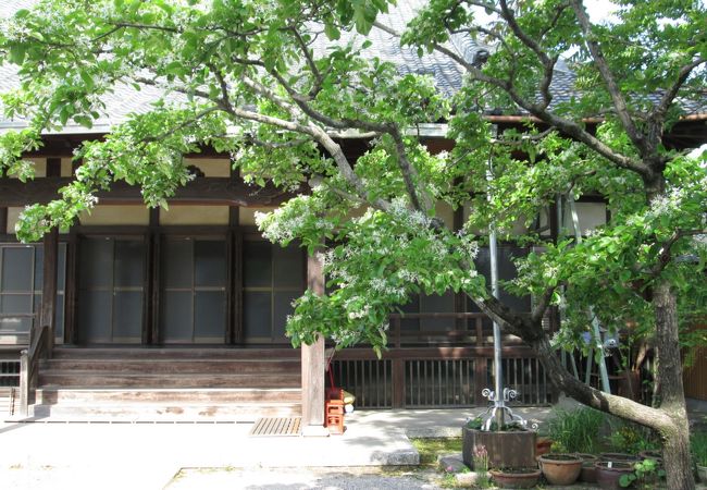 弘願坊・・・静かです