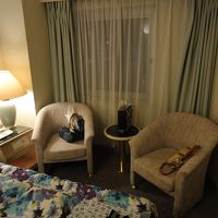 カーテンの向こうは向かいのマンションが見えます。