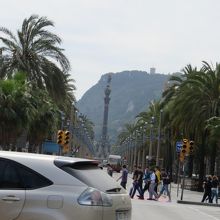 椰子の木の街路樹