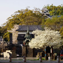 桜の季節はこんな感じです