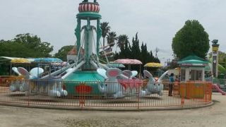 楽しかったです