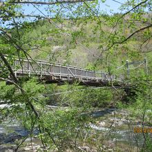 自然がいっぱいだよ