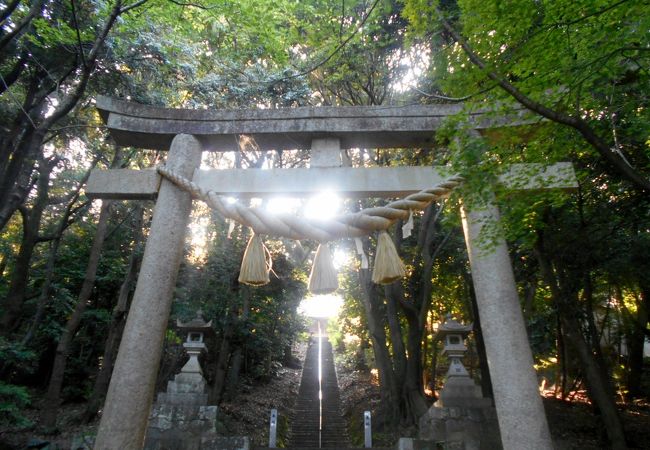 八ツ面山公園 クチコミ アクセス 営業時間 西尾 一色 幸田 フォートラベル 八ツ面山公園 クチコミ アクセス 営業時間 西尾 一色 幸田 フォートラベル