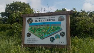 墓ノ木自然公園