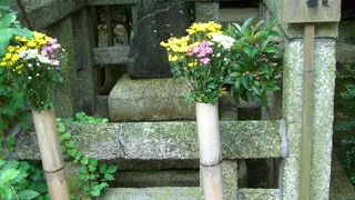 松尾芭蕉のお墓があります
