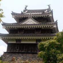 旧近衛邸付近からの本丸丑寅櫓の景観?。