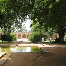 庭園の木陰が癒される。