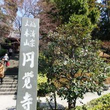 臨済宗円覚寺派の大本山、円覚寺（えんがくじ）