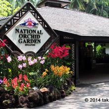 ナショナル オーキッド ガーデン 