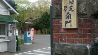 北海道大学…緑に癒されます