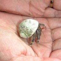 レストランの前に。