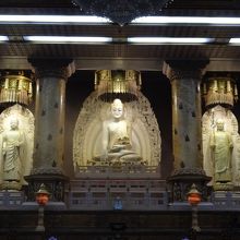 本当は撮影禁止‥知らなくてごめんなさい