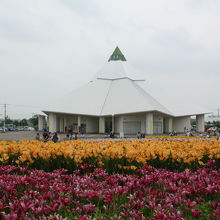 ゆりの里公園の百合とユリーム春江
