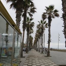 散策していても気持ちよい道路