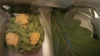 京都高島屋の地下にある店舗です