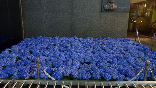 クリスマスツリーが有名