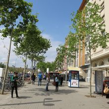 ヨットの景色を過ぎると、このような並木道