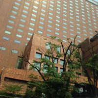 裏の国立劇場からの帰り道　敷地広すぎて全体映らない