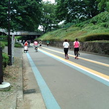 コースが広いため、マイペースで走れます。