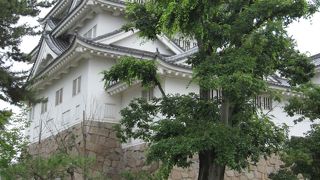 こじんまりながらどうどうとした外観