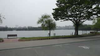 きれいな公園です。