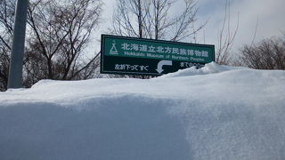 マンモスが出迎えてくれます