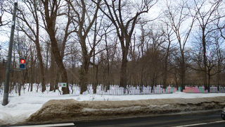 札幌駅から徒歩１０分ほどのところです。