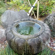 庭園内にある水面が緑に染まった手水鉢。