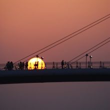 望遠レンズで狙い撃ち