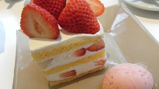 念願のエスコヤマへ一日がかりで行ってきました