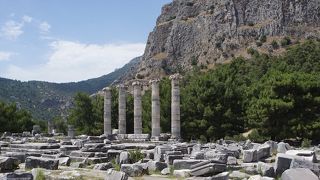 行った甲斐がありました