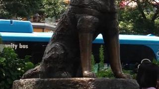 渋谷駅のシンボル