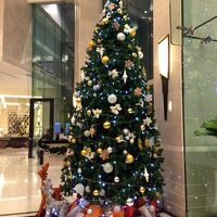 ホテルロビーのクリスマスツリー。ゴージャスです！