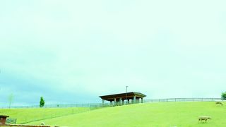 無料で楽しむおすすめスポット！