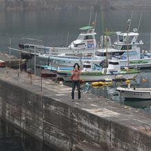 漁港ですので船がいます。